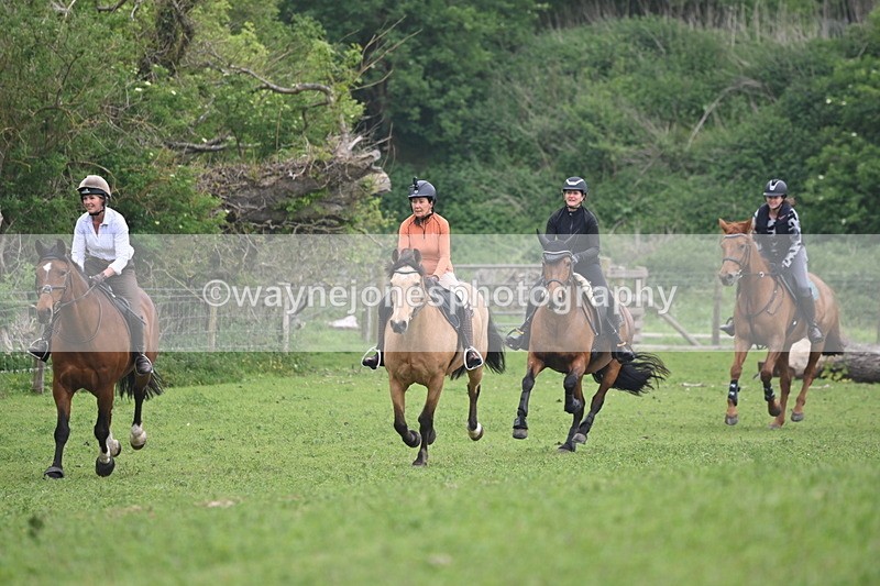 WJ6_2591 - A camera