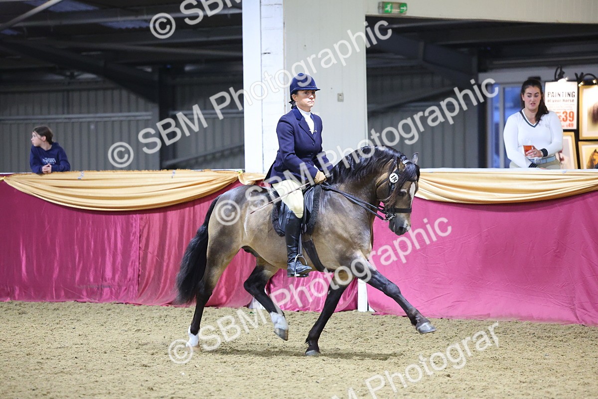 0B8A4387 - Class N M&M Champ