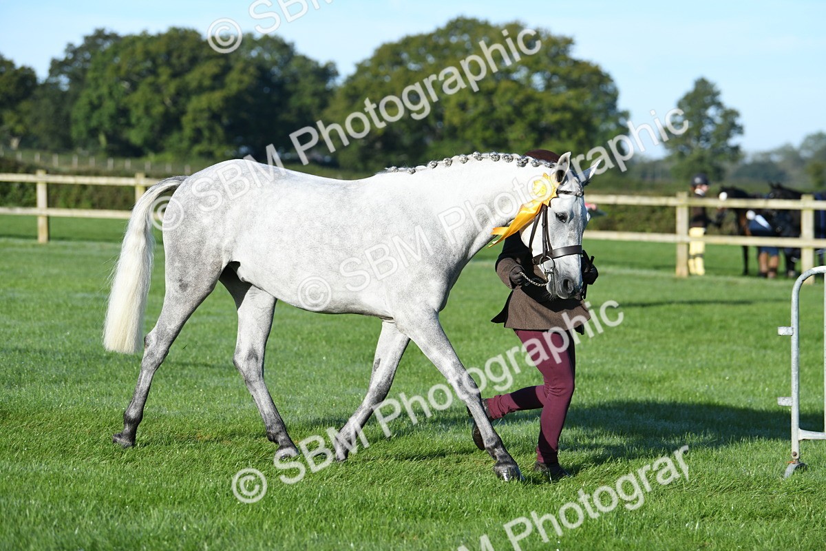 SBM_32869 - S15 - Condition & Turnout In Hand