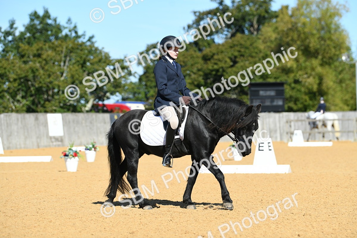 SBM_18199 - D4 - Small Tour Championship - Intro B