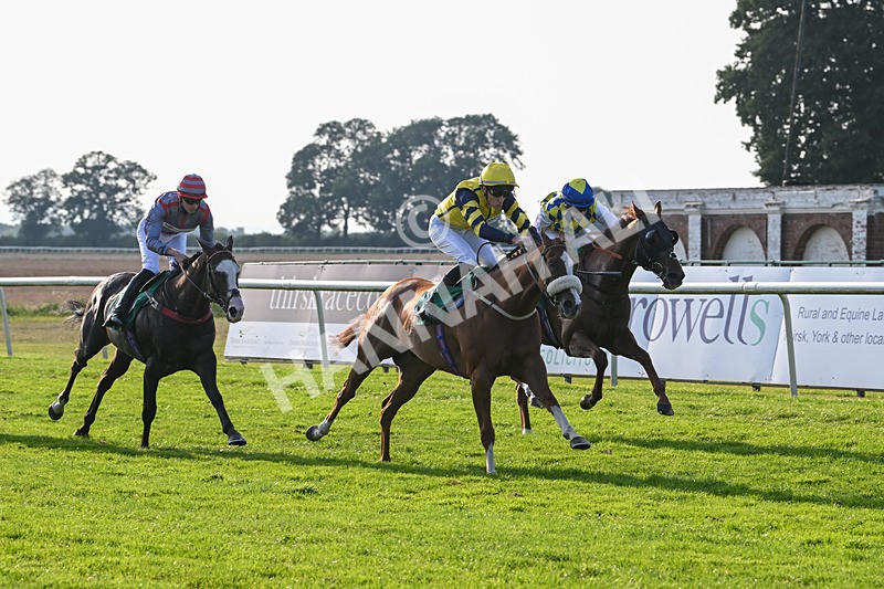 300824-Race 8-Captain Corelli-6656 - Race 8