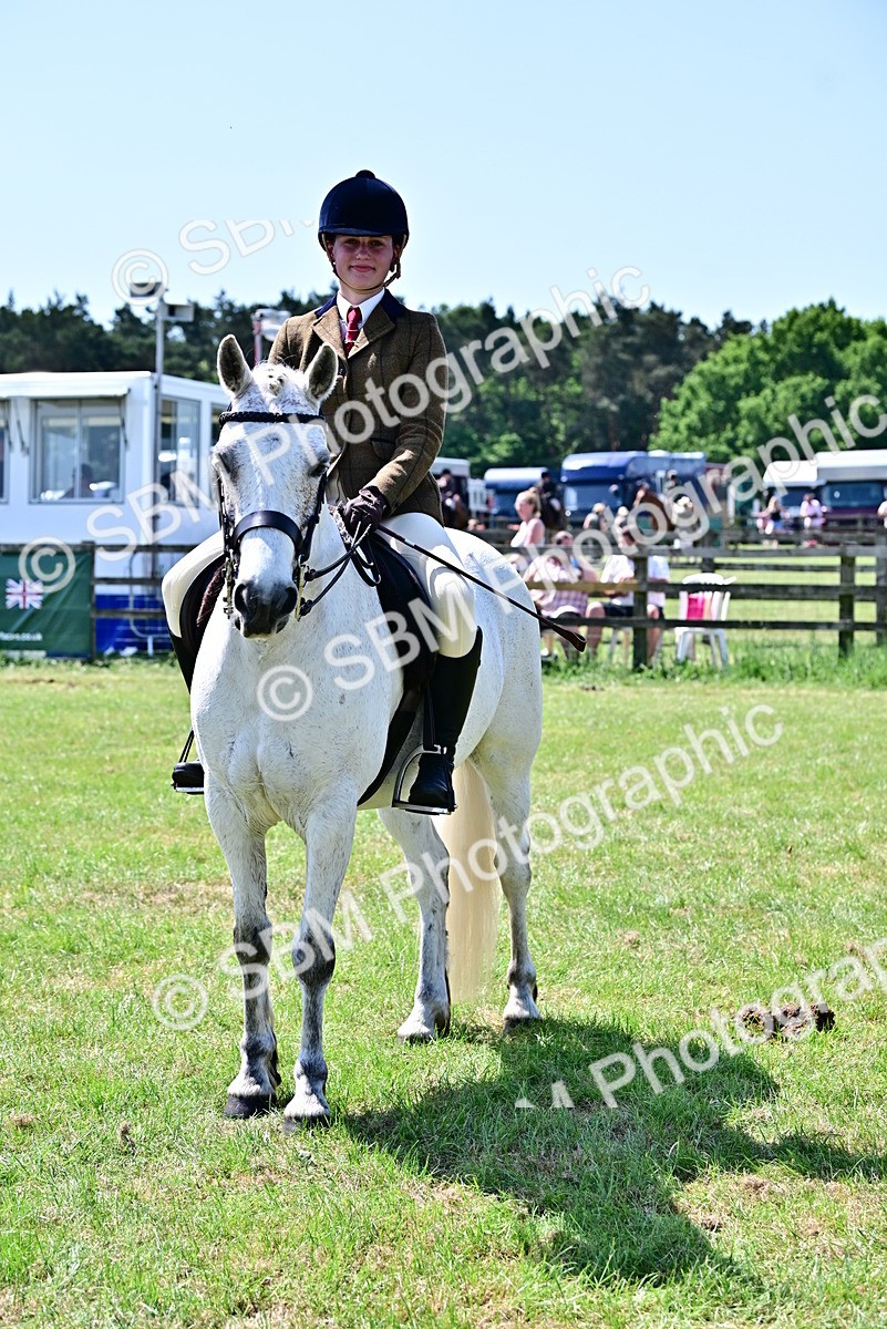 SBM_15317 - Class 95-97 - BSPS LHS Performance Ponies