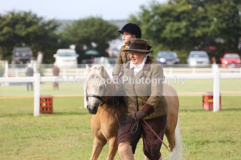 JPP_0396 - Class 14: Cornish Combination Leading Rein