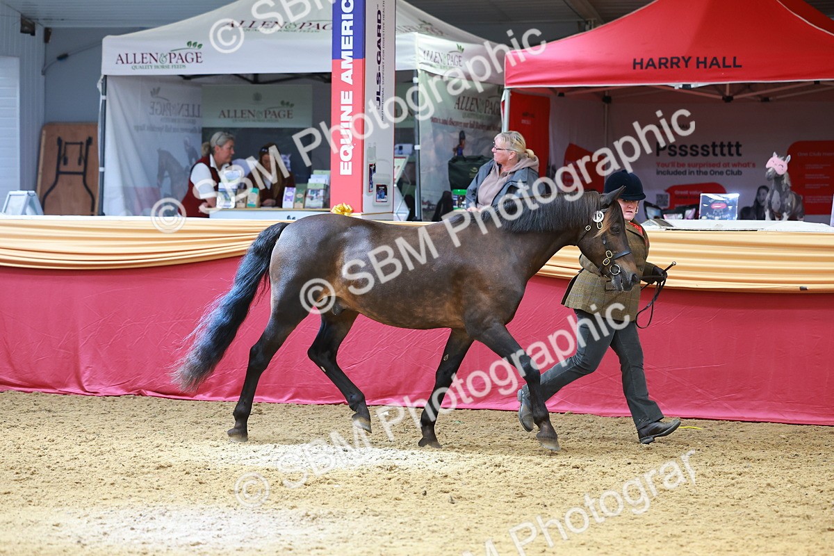 SBM_04106 - Class 9R - IH Pre-Vet