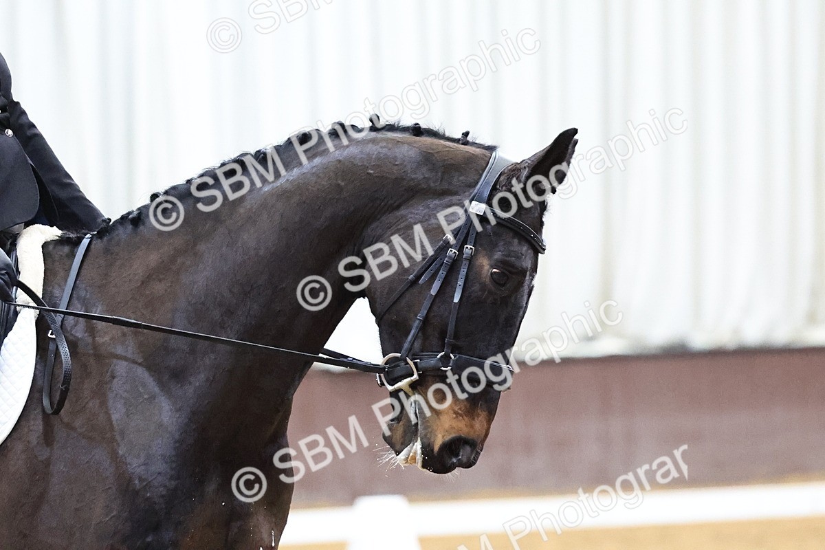 SBM_001551 - Class 19- M5