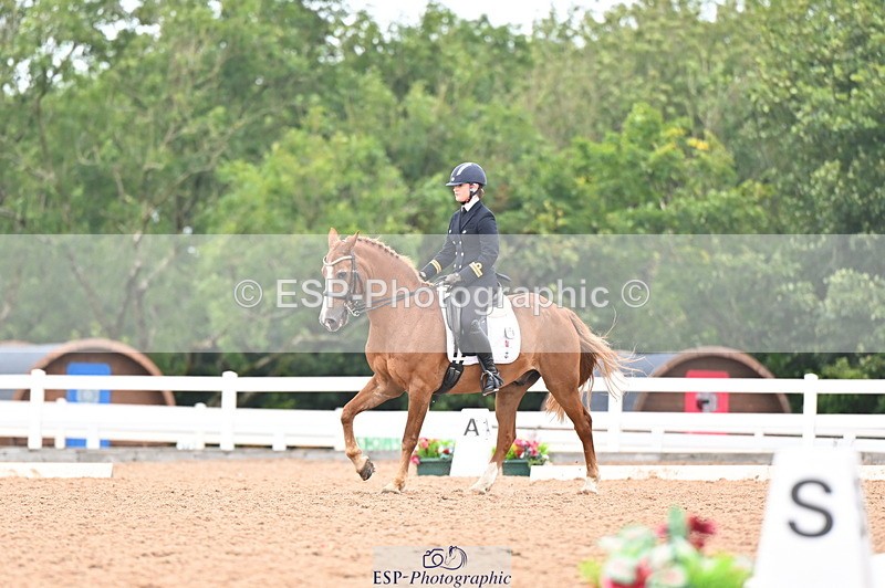 240815A-122143-00949 - 170-India.John-Grayswood.Orlando