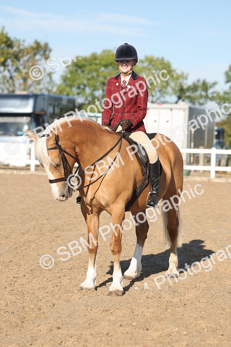 SBM_11063 - Class 302 - Ridden M&M Large Breeds