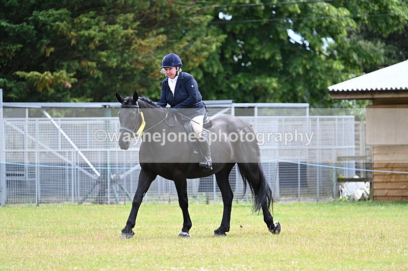 WJ7_8894 - Class 7  Riding Club Show Horse
