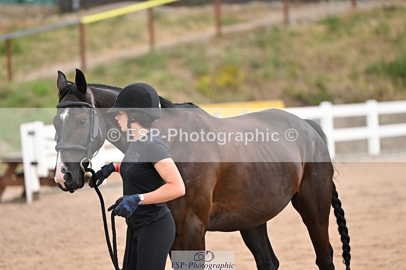 250716-145905-01573 - Trot Up 2.30 to 3.30