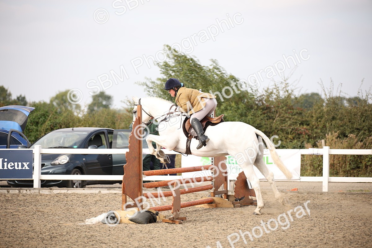SBM_17267 - Class 410a - Wor5king Veteran 90cm (15-19)