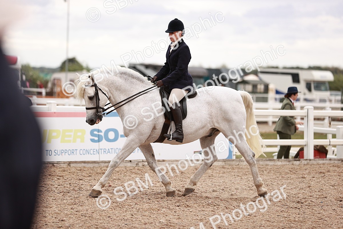 SBM_19009 - Class 422 - Ridden M&M