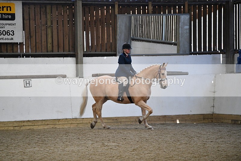 WJ5_5895 - Class 9 Ridden Veteran