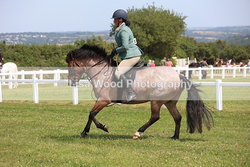 JPP_3265 - Class 22: Working Hunter 70cm