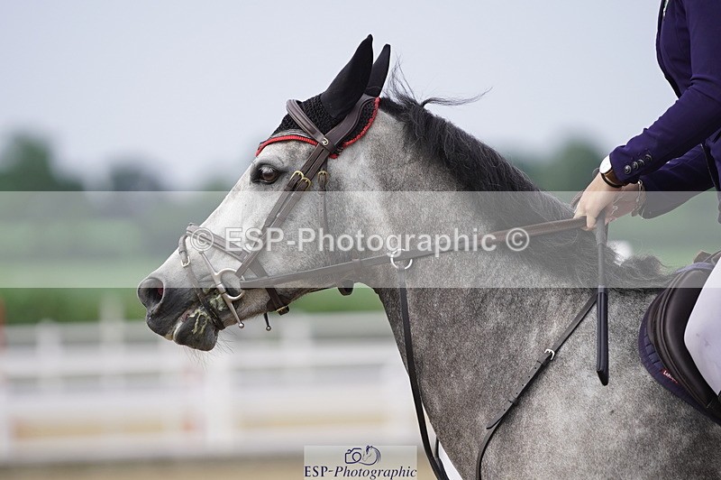 230625A-091414-03124 - Cls 1 Pony Discovery & Open