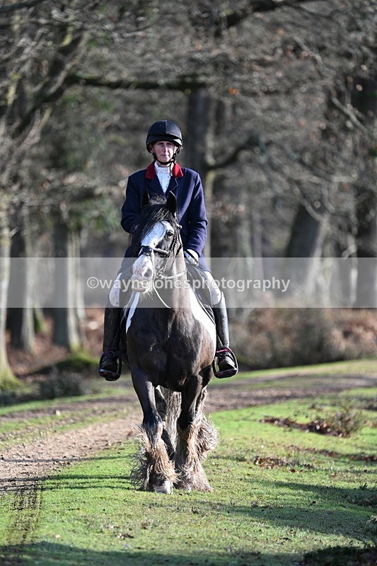 WJ7_7794 - Line 3 (no line 4 or 5)