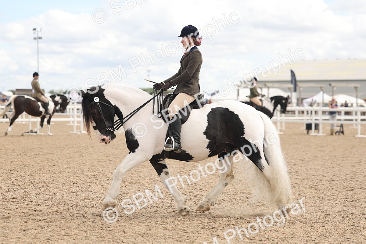 SBM_14758 - Class 308 - Ridden Coloured Horse