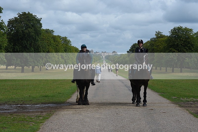 TT3_9153 - Time at Crossing 09:22 to 11:26