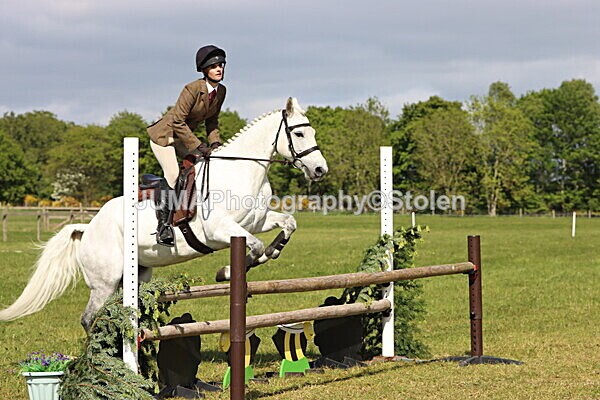 IMG_4827 - Working Hunter