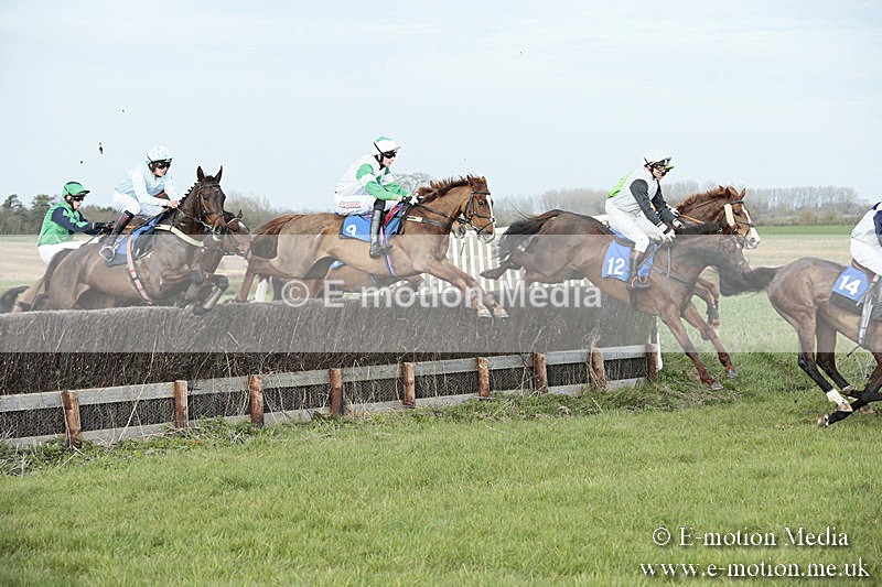 PtP 230319 430 - VWH Hunt Siddington Point-to-Point Racing 23/03/19