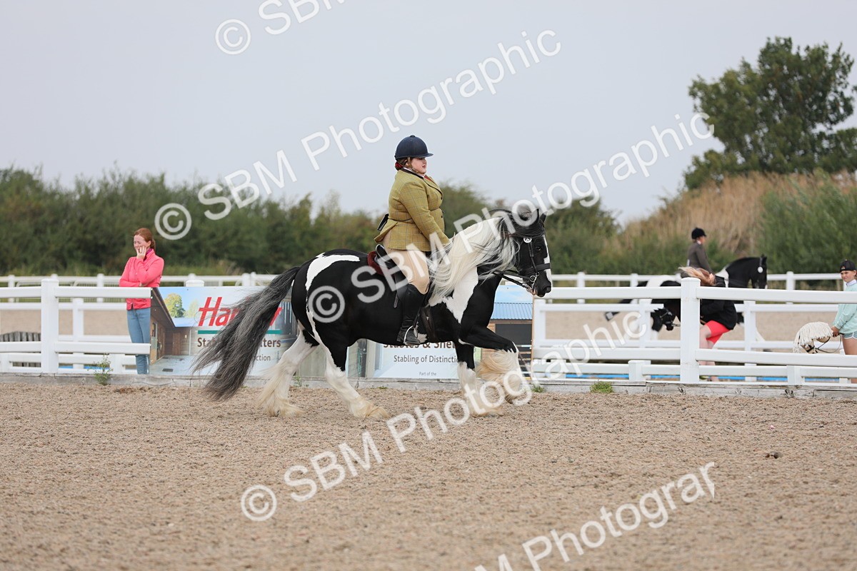 SBM_12758 - Class 307 Ridden Coloured Pony