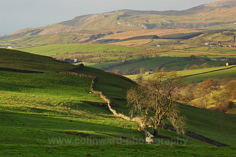 Stainmore, Yorkshire Dales.       ref 7080 - The Pennines and Cumbria