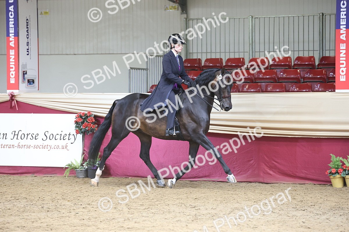 SBM_23701 - class 906 - Supreme Final - Ridden Pre Vet