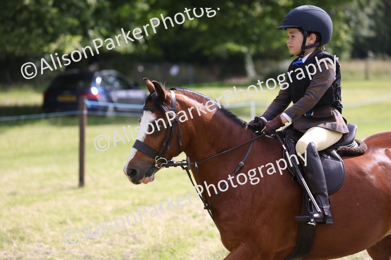 20260614-0501 - Class 20 - Beginners Working Hunter Pony