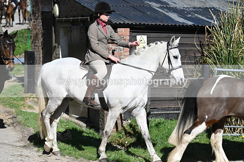 WJ7_9703 - Home for hunt tea !