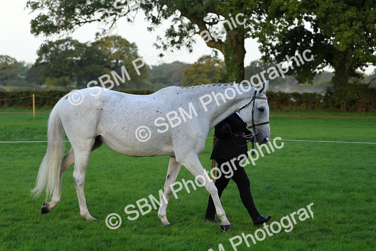 SBM_32741 - S8 - Best Turned Out