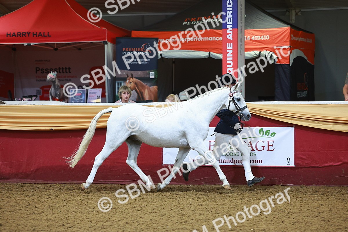 SBM_14664 - Class B - Junior Champ 11 to 16 Years