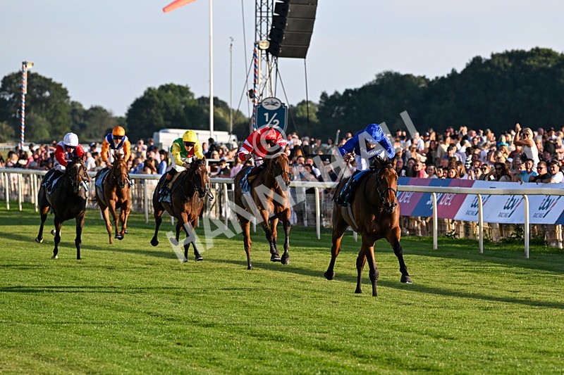 240726-Race 5-Diamond Rain-5468 - Race 5 19.50pm British EBF Lyric Fillies' Stakes