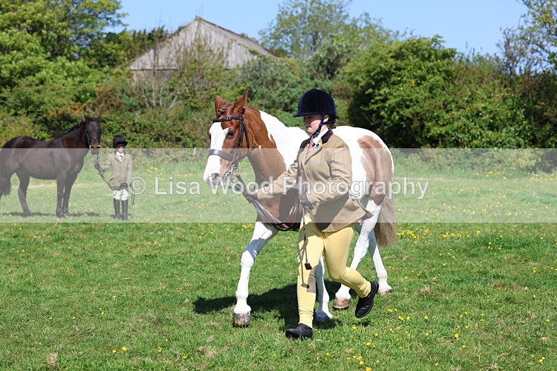 3E7A9914 - Class 17: Young Handler