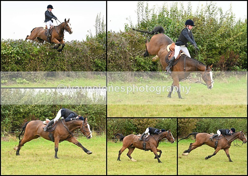 BB Rockley 1310241 - Edited examples