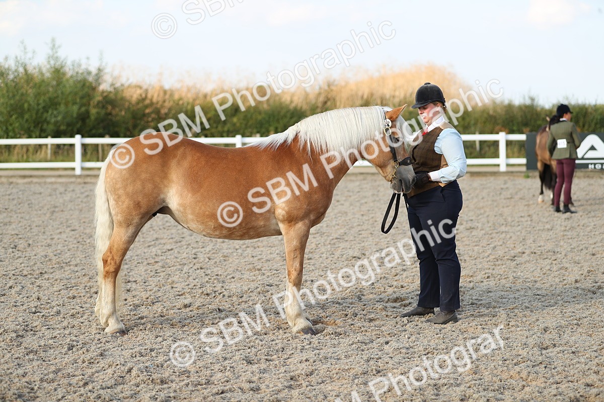 SBM_09039 - Class 29 IH Veteran Pony