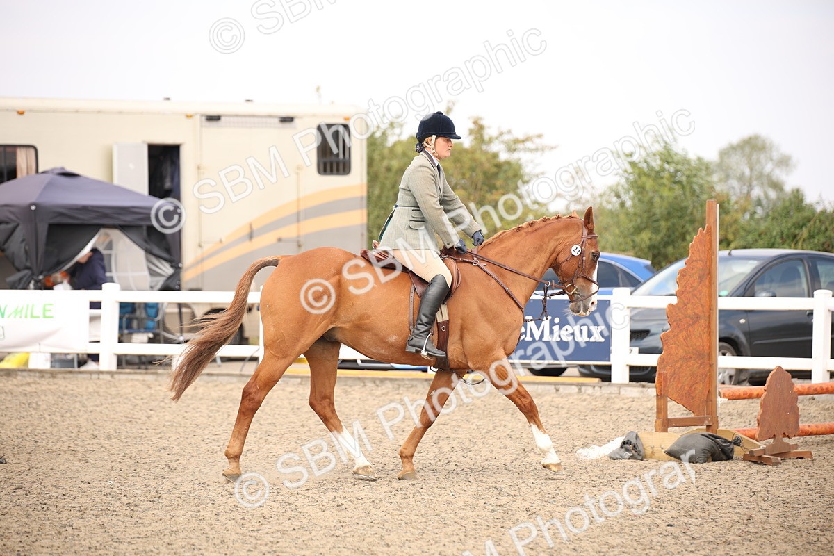 SBM_13574 - Class 406b - Working Veteran 50cm (20+)