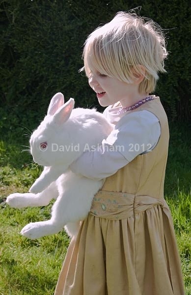 My rabbit - Pets