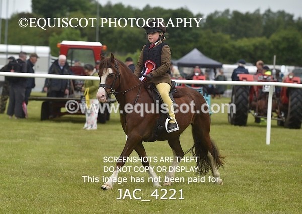 JAC_4221 - WORKING HUNTER CHAMPIONSHIP