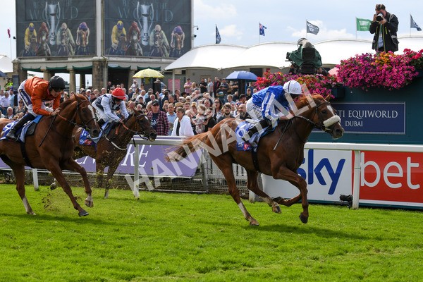 250823-Race 1-Marhaba The Champ-0137 - Race 1 1.50pm Sky Bet Handicap