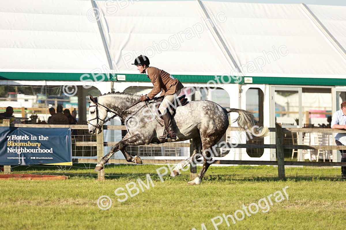 SBM_20492 - Class 117-119 - Sport Horse Working Hunter