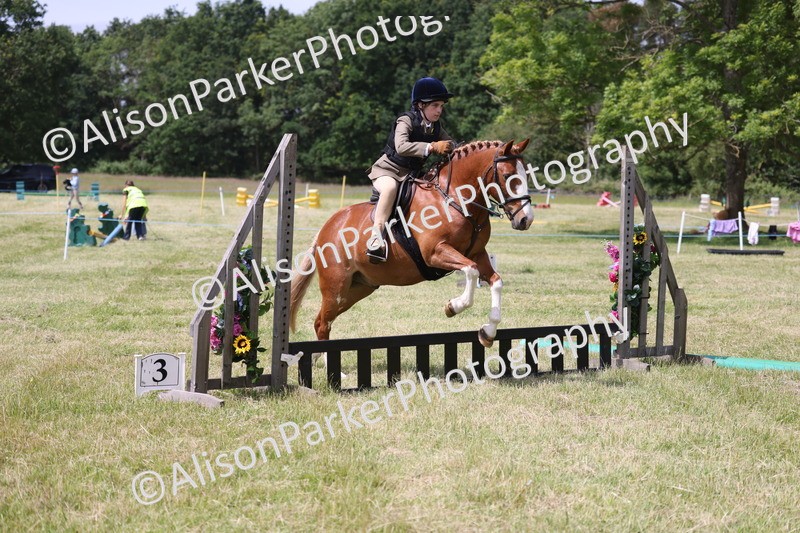 20260614-1927 - Class 21 - Novice Working Hunter Pony