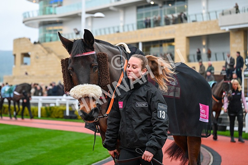 131224-Race 6-Escaria Ten-9871 - Race 6