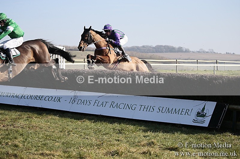 PtP 240218 248 - Vine & Craven Hunt Point-to-Point Barbury racecourse 24/02/18