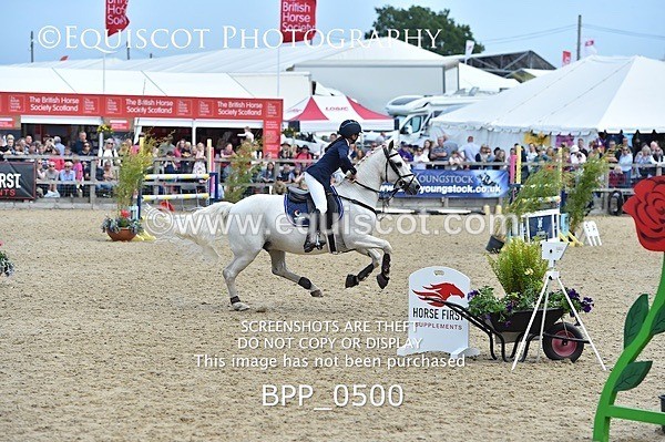 BPP_0500 - RHS 2019 Selection - *Just some random spectator shots so Lucky Dip if you are there!