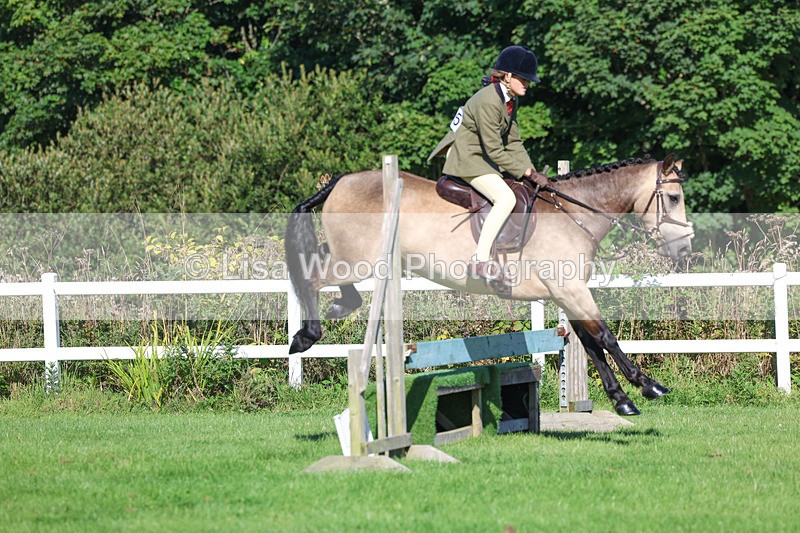 3E7A7739 - Class 2: Open Working Hunter pony