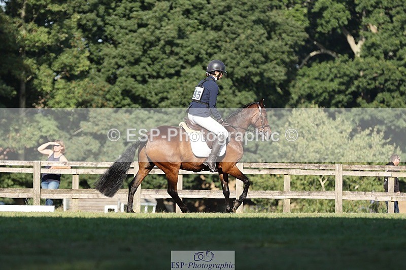 250823A-085953-25816 - Arena D