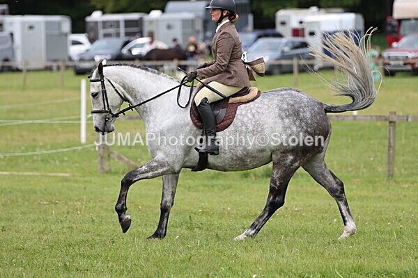 IMG_2834 - Working Hunter
