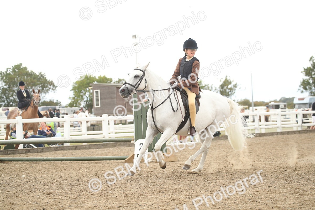 SBM_16734 - Class 507b - Working Veteran 60cm (20+)