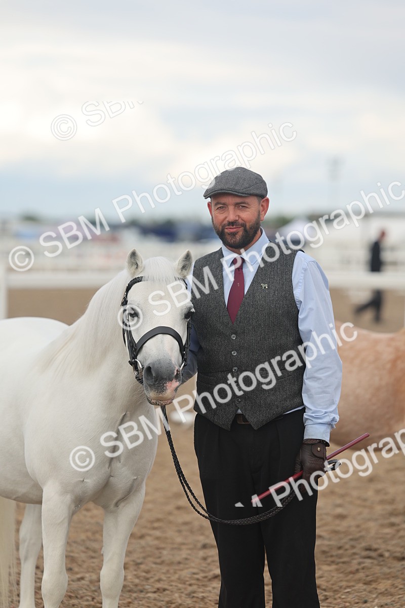 SBM_08529 - Class 29 - IH Veteran Pony