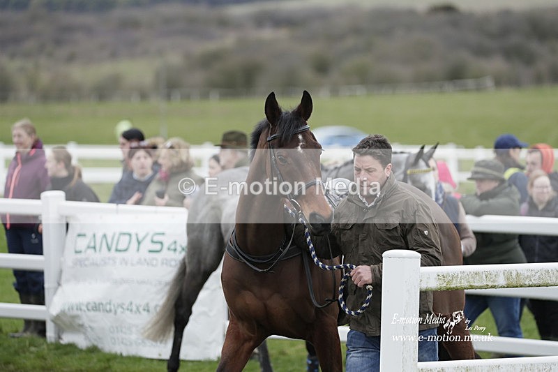 PtP 260323 0001 - New Forest Hounds Point-to-Point Larkhill 26/03/23