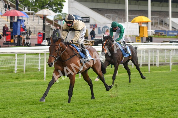 yr22052021r5-13 - Race 5 4.20pm William Hill EBF Novice Stakes (Plus 10 Race)